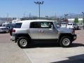 Titanium Metallic - FJ Cruiser 4WD Photo No. 13