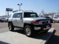 Titanium Metallic - FJ Cruiser 4WD Photo No. 14