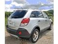 2012 Silver Ice Metallic Chevrolet Captiva Sport LS  photo #9