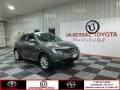 Gun Metallic - Juke SL AWD Photo No. 1