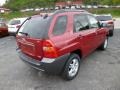 Volcanic Red Metallic - Sportage LX V6 Photo No. 7