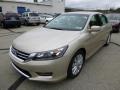 2013 Champagne Frost Pearl Honda Accord EX Sedan  photo #7