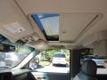 2004 Silver Birch Metallic Chevrolet Suburban 1500 LT  photo #4