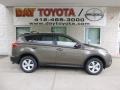 Pyrite Mica - RAV4 XLE AWD Photo No. 1