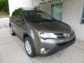 Pyrite Mica - RAV4 XLE AWD Photo No. 7