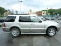 Silver Birch Metallic - Mountaineer Convenience AWD Photo No. 10