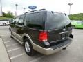 Dark Stone Metallic - Expedition Eddie Bauer 4x4 Photo No. 5