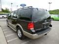 2005 Dark Stone Metallic Ford Expedition Eddie Bauer 4x4  photo #5