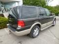 Dark Stone Metallic - Expedition Eddie Bauer 4x4 Photo No. 7