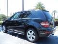 Black - ML 350 Photo No. 5