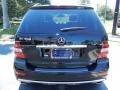 Black - ML 350 Photo No. 6