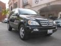 Black - ML 350 4Matic Photo No. 1