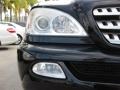 Black - ML 350 4Matic Photo No. 23