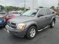 Mineral Gray Metallic - Durango SXT Photo No. 4
