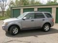 2008 Tungsten Grey Metallic Ford Escape Hybrid 4WD  photo #1