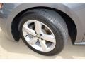 Platinum Gray Metallic - Passat TDI SE Photo No. 22