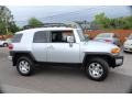 Titanium Metallic - FJ Cruiser 4WD Photo No. 5