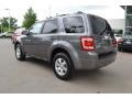Sterling Grey Metallic - Escape Limited V6 Photo No. 3