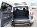 Titanium Metallic - FJ Cruiser 4WD Photo No. 8