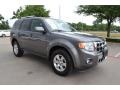 Sterling Grey Metallic 2010 Ford Escape Limited V6 Exterior
