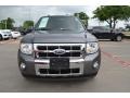 Sterling Grey Metallic 2010 Ford Escape Limited V6 Exterior