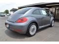 Platinum Gray Metallic - Beetle 2.5L Photo No. 2