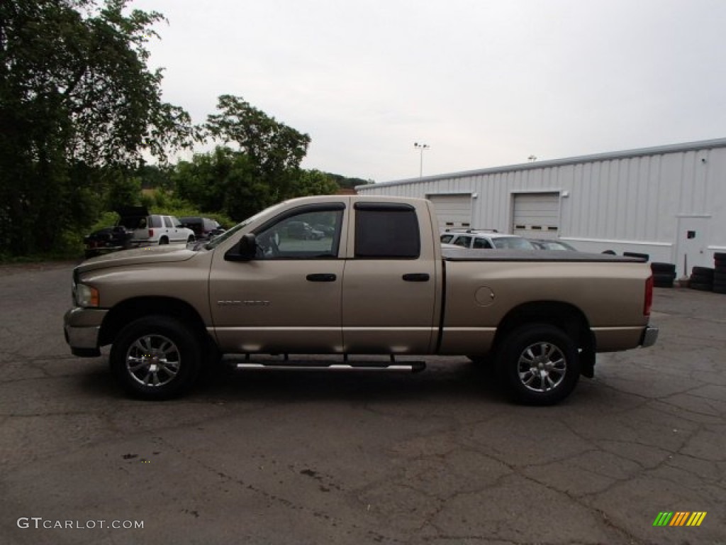 2003 Ram 1500 SLT Quad Cab 4x4 - Light Almond Pearl / Dark Slate Gray photo #5