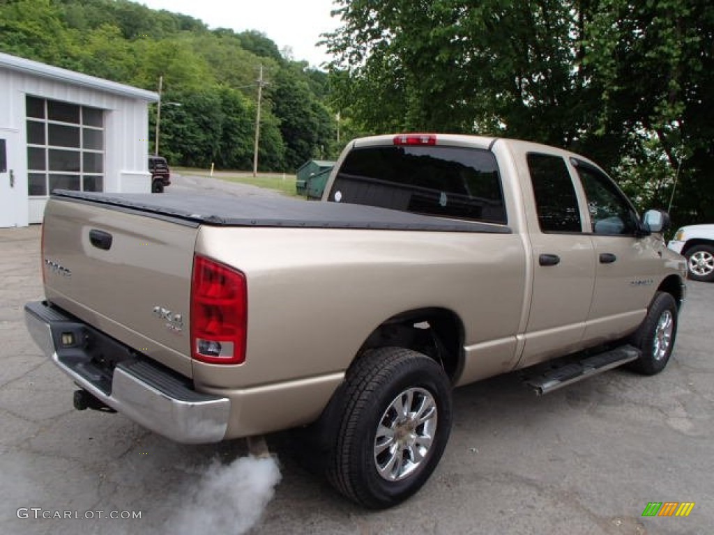 2003 Ram 1500 SLT Quad Cab 4x4 - Light Almond Pearl / Dark Slate Gray photo #8