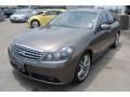 Umbria Gray Metallic - M 45 Sedan Photo No. 3