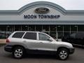 Smart Silver - Santa Fe GLS 4WD Photo No. 1