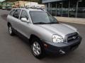 Smart Silver - Santa Fe GLS 4WD Photo No. 2