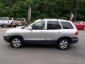 Smart Silver - Santa Fe GLS 4WD Photo No. 5