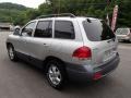 Smart Silver - Santa Fe GLS 4WD Photo No. 6