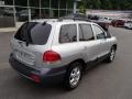 Smart Silver - Santa Fe GLS 4WD Photo No. 8