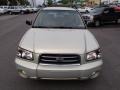 Champagne Gold Opalescent - Forester 2.5 XS Photo No. 3