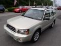 Champagne Gold Opalescent - Forester 2.5 XS Photo No. 4