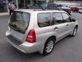 Champagne Gold Opalescent - Forester 2.5 XS Photo No. 8