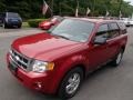 2010 Sangria Red Metallic Ford Escape XLT V6 4WD  photo #4