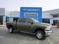 2012 Sagebrush Pearl Dodge Ram 2500 HD SLT Crew Cab 4x4 #81524728