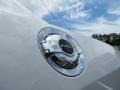 Bright White - Challenger SXT Photo No. 13