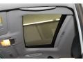 2010 Tungsten Silver Pearl Lexus RX 350  photo #19
