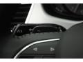 Daytona Gray Pearl - S8 4.0 TFSI quattro Sedan Photo No. 24