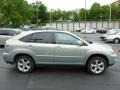  2006 RX 330 AWD Bamboo Pearl