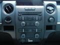 Steel Gray Controls Photo for 2013 Ford F150 #81553448