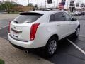 Platinum Ice Tricoat - SRX V6 Photo No. 4