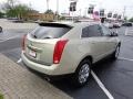 Gold Mist - SRX V6 Photo No. 4
