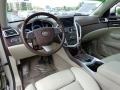 Gold Mist - SRX V6 Photo No. 13