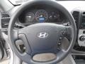 2007 Hyundai Santa Fe Gray Interior Steering Wheel Photo