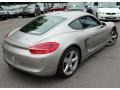  2014 Cayman S Platinum Silver Metallic