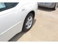 Stone White - Charger SXT Photo No. 12